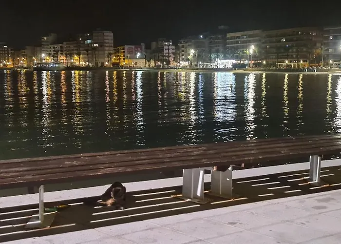 Apartamento Stefy House *