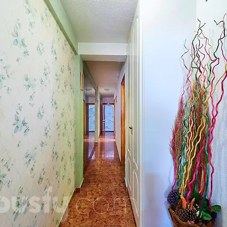 Stefy House Daire Torrevieja
